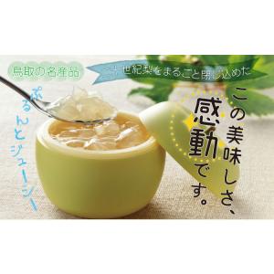 梨ゼリー感動です。4個入り 特別限定パッケージの詳細画像1
