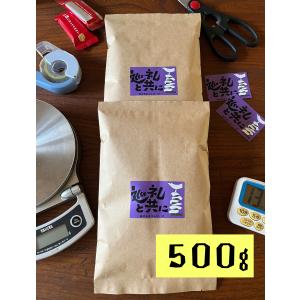 巡礼と共に 500g 約50杯分 ホンジュラス SHB コパン 中深煎り 自家焙煎 珈琲 コーヒー コーヒー豆