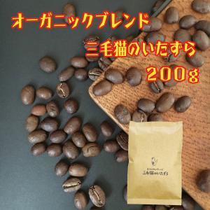 コーヒー豆 200g 自家焙煎 珈琲 オーガニックブレンド コーヒー 約20杯分 三毛猫のいたずら 送料無料