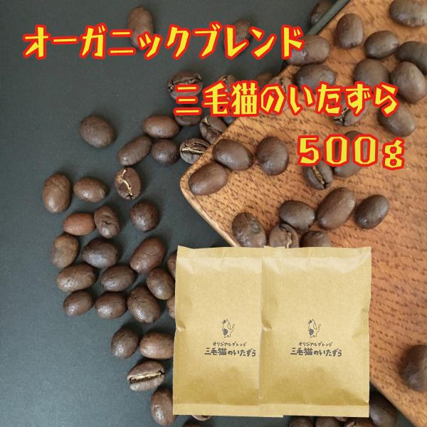 コーヒー豆 500g 自家焙煎 珈琲 オーガニックブレンド コーヒー 約50杯分 三毛猫のいたずら ...