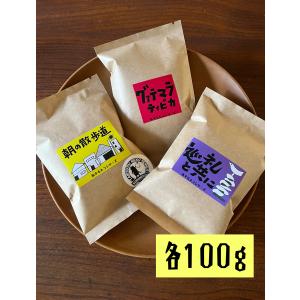 お試し 飲み比べ 旅するネコ 3種セット お得な 100g×3 珈琲 コーヒー豆 注文後焙煎