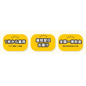 こねこ便420 10枚セット(60枚以上の購入...の詳細画像2