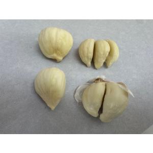 ニンニク バラ 訳あり 青森県産 にんにく 1...の詳細画像3
