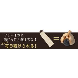 すっきり黒にんにくゼリー 15g 15本入り ...の詳細画像2