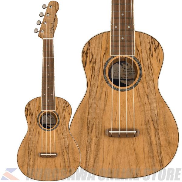 Fender Acoustics Zuma Exotic Concert Ukulele, Waln...