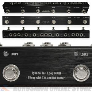 EVA/Kanter【SPL Tuning sys】(Sound Pressure Level)【在庫あり