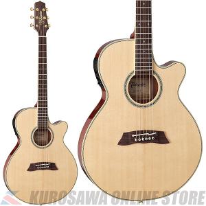 Epiphone（エピフォン） WILDKAT 専用 ハードケース【 エピフォン純正