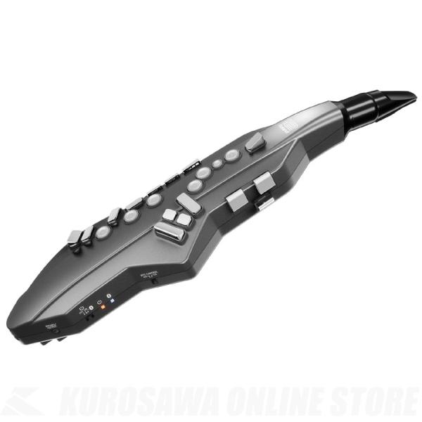 《期間限定！ポイントアップ！》Roland AE-05 Aerophone GO  / エアロフォン...
