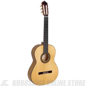 Paco Castillo  パコ・カスティージョ 214F【送料無料】【フラメンコギター】 【ONLINE STORE】｜kurosawa-music