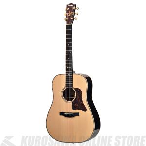 S.Yairi ヤイリ Traditional Series アコースティックギター YD-6R N