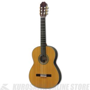 小平 Kodaira クラシックギター AST-70L (630mm) 日本製 国産 Made in