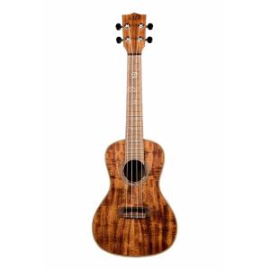 Ibanez（アイバニーズ） Ibanez EWP14WB-OPN (Open Pore Natural