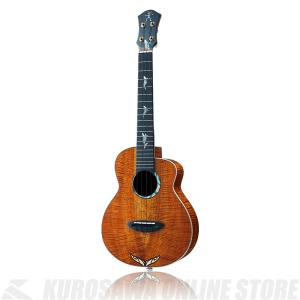 Ibanez（アイバニーズ） Ibanez EWP14WB-OPN (Open Pore Natural