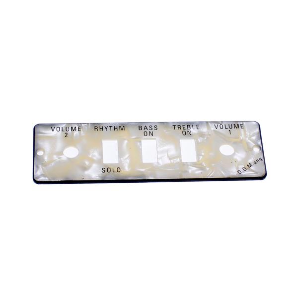 Hofner Guitar/Bass Control Panel Plate HA2B-P (ご予約...