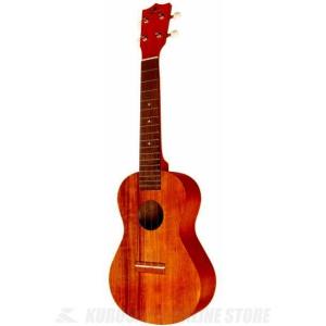 Ibanez（アイバニーズ） Ibanez EWP14WB-OPN (Open Pore Natural