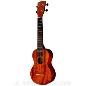 Ibanez（アイバニーズ） Ibanez EWP14WB-OPN (Open Pore Natural