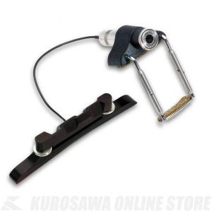 FISHMAN マンドリン用 ピックアップ M-100〈フィッシュマン〉 : 楽器de