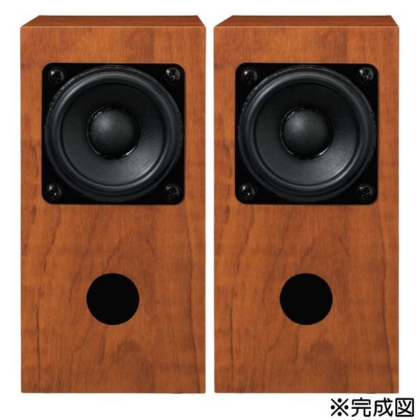 《期間限定！ポイントアップ！》FOSTEX P650K+P650-E (1ペア) (自作スピーカーセ...