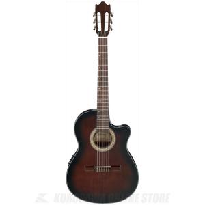 Ibanez GA37STCE-DVS-3R-03 Classical Guitar クラシックギター