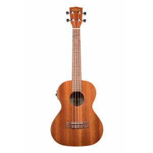 Ibanez（アイバニーズ） Ibanez EWP14WB-OPN (Open Pore Natural