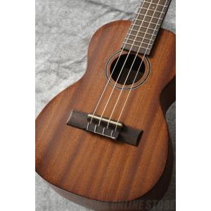 Ibanez（アイバニーズ） Ibanez EWP14WB-OPN (Open Pore Natural