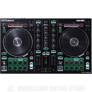 《期間限定！ポイントアップ！》Roland DJ-202 (DJコントローラー)｜kurosawa-music