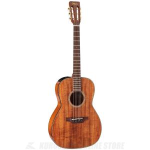 送料無料) Takamine (タカミネ) PTU431K N アコースティックギター