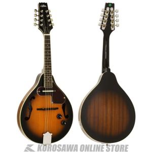 《期間限定！ポイントアップ！》ARIA AM-20E｜kurosawa-unplugged