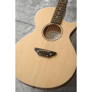 《期間限定！ポイントアップ！》GrassRoots Acoustic Series G-AC-45 （Natural Satin)(アコースティックギター)(マンスリープレゼント)