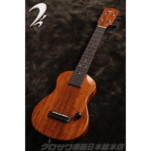 T's Ukulele/ティーズウクレレ EC-100 コンサート (送料無料)(マンスリープレゼント)(ご予約受付中）