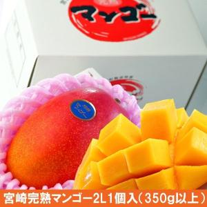 お中元 高級 宮崎完熟マンゴー 3L2個(糖度15度以上)...
