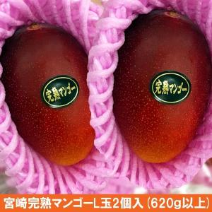 宅配便 宮崎 完熟 マンゴー L玉2個(合計で620g以上)...