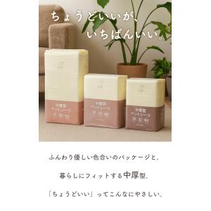 中厚型ペットシーツ レギュラー ワイド スーパ...の詳細画像2
