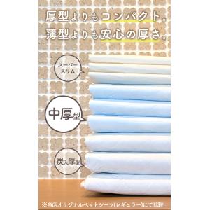 中厚型ペットシーツ レギュラー ワイド スーパ...の詳細画像3