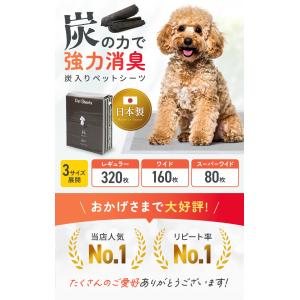 ペットシーツ 厚型 炭入り消臭 レギュラー ワ...の詳細画像1