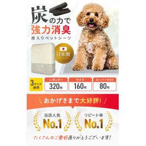 ペットシーツ 厚型 炭入り消臭 レギュラー ワ...の詳細画像1