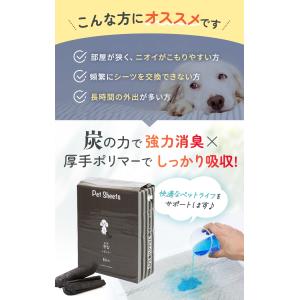 ペットシーツ 厚型 炭入り消臭 レギュラー ワ...の詳細画像3