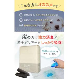 ペットシーツ 厚型 炭入り消臭 レギュラー ワ...の詳細画像3