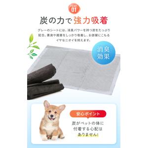 ペットシーツ 厚型 炭入り消臭 レギュラー ワ...の詳細画像5