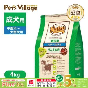 ナチュラルチョイス 2袋セット ニュートロ 中型犬〜大型犬用 成犬用