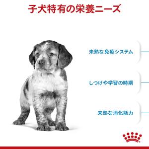 ロイヤルカナン SHN ミディアム パピー 中...の詳細画像1