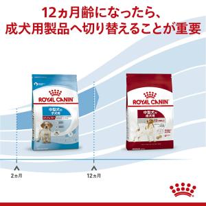 ロイヤルカナン SHN ミディアム パピー 中...の詳細画像4