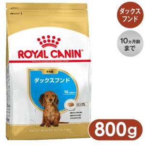 ロイヤルカナン ドッグフード BHN ダックスフンド 子犬用 800g｜kurosu