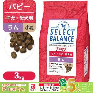 SELECT BALANCE セレクトバランス パピー チキン 子犬・母犬用 小粒