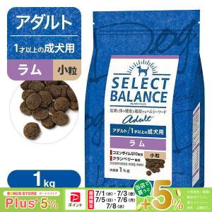 SELECT BALANCE セレクトバランス エイジングケア 7才以上の成犬用