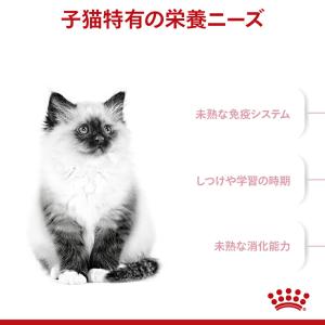 ロイヤルカナン FHN キトン 成長後期の子猫...の詳細画像1