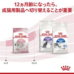 ロイヤルカナン FHN キトン 成長後期の子猫...の詳細画像3