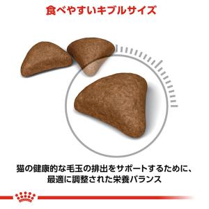 【まとめ買いでお得!】ロイヤルカナン FCN ...の詳細画像4