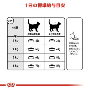 【まとめ買いでお得!】ロイヤルカナン FCN ...の詳細画像5