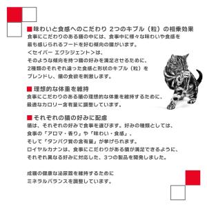 ロイヤルカナン FHN セイバー エクシジェン...の詳細画像2